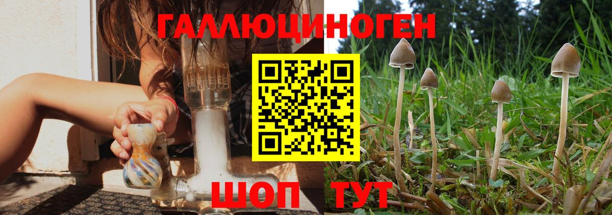 Псилоцибиновые грибы прущие грибы Киров